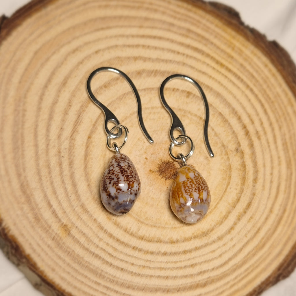 Boucles d’oreilles coquillage