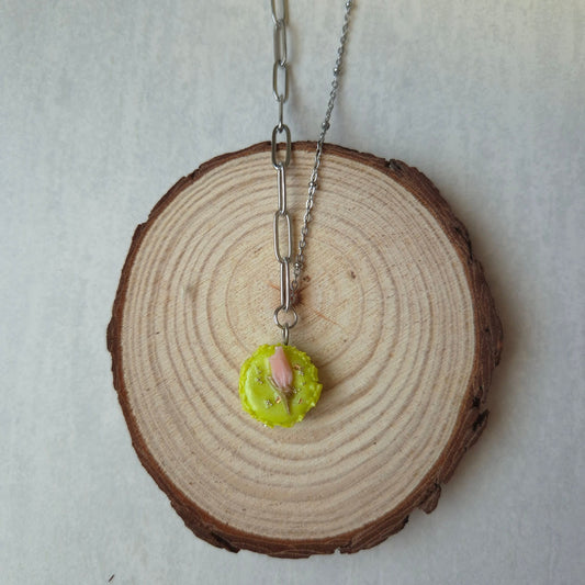 Macaron – Douceurs Pastel